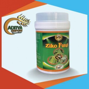Ziko Fungi: Powder Organic Fungicide