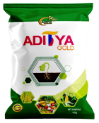 aditya gold
