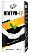 aditya l2