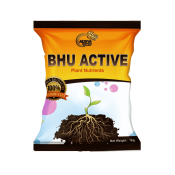 bhu png-min